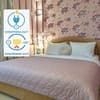 Квартира 2 комнатная в центре. Alex Apartments