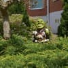 Люкс 5-6/18