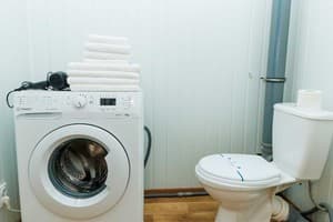 Яскраві квіти. Alex Apartments. Безконтактне заселення 24/7 20